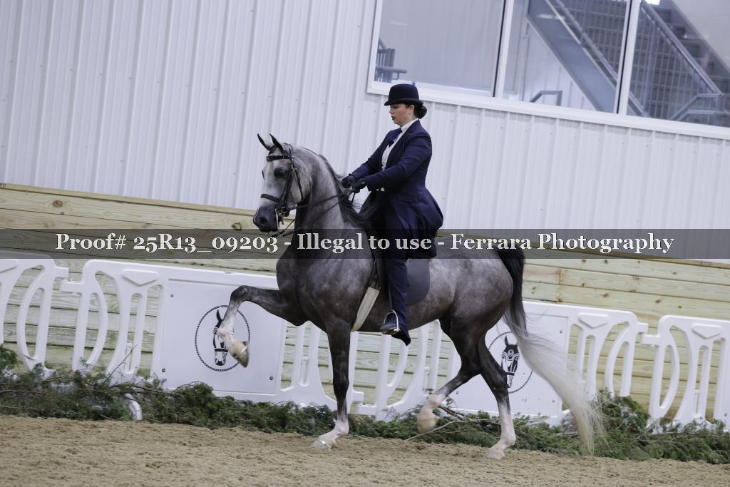 Proof Number 25R13_09203