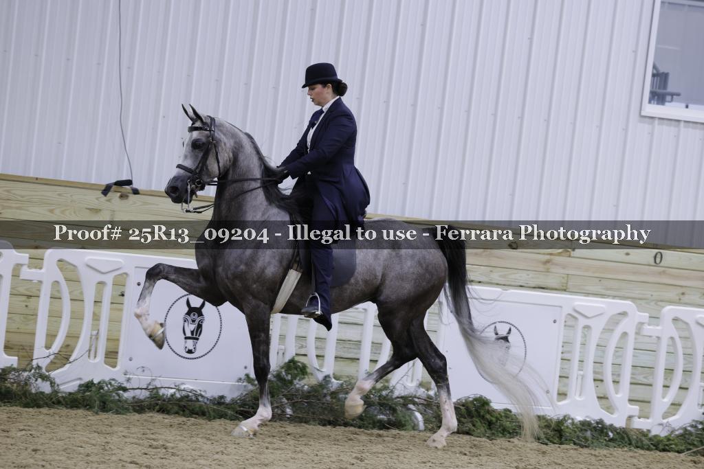 Proof Number 25R13_09204