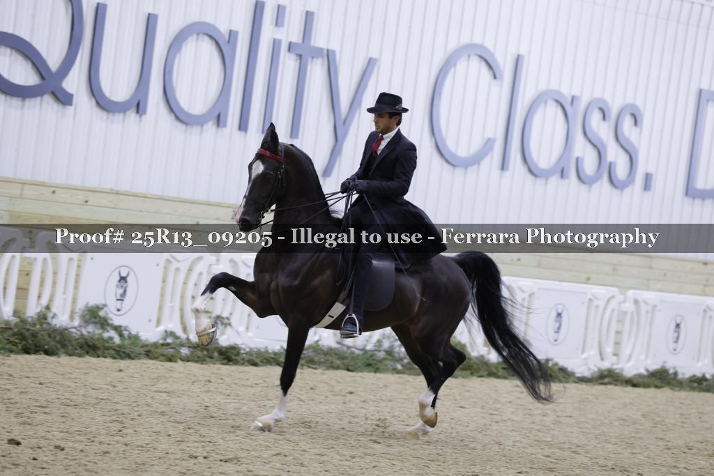 Proof Number 25R13_09205