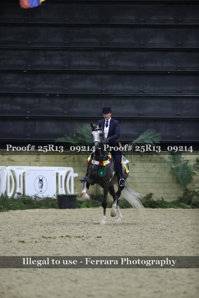 Proof Number 25R13_09214