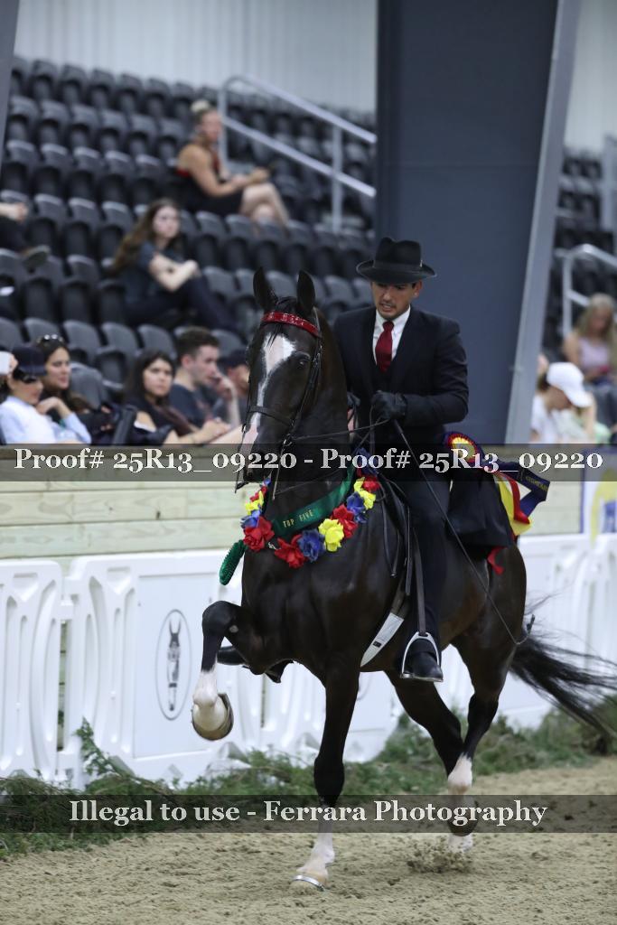 Proof Number 25R13_09220
