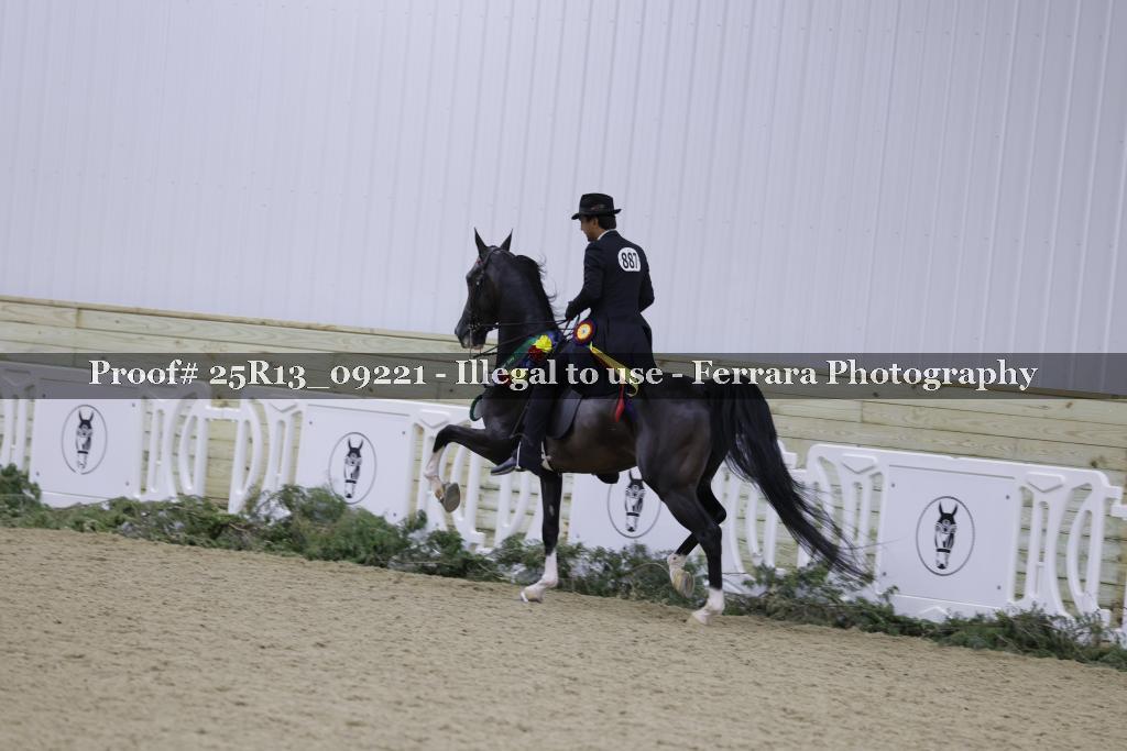 Proof Number 25R13_09221