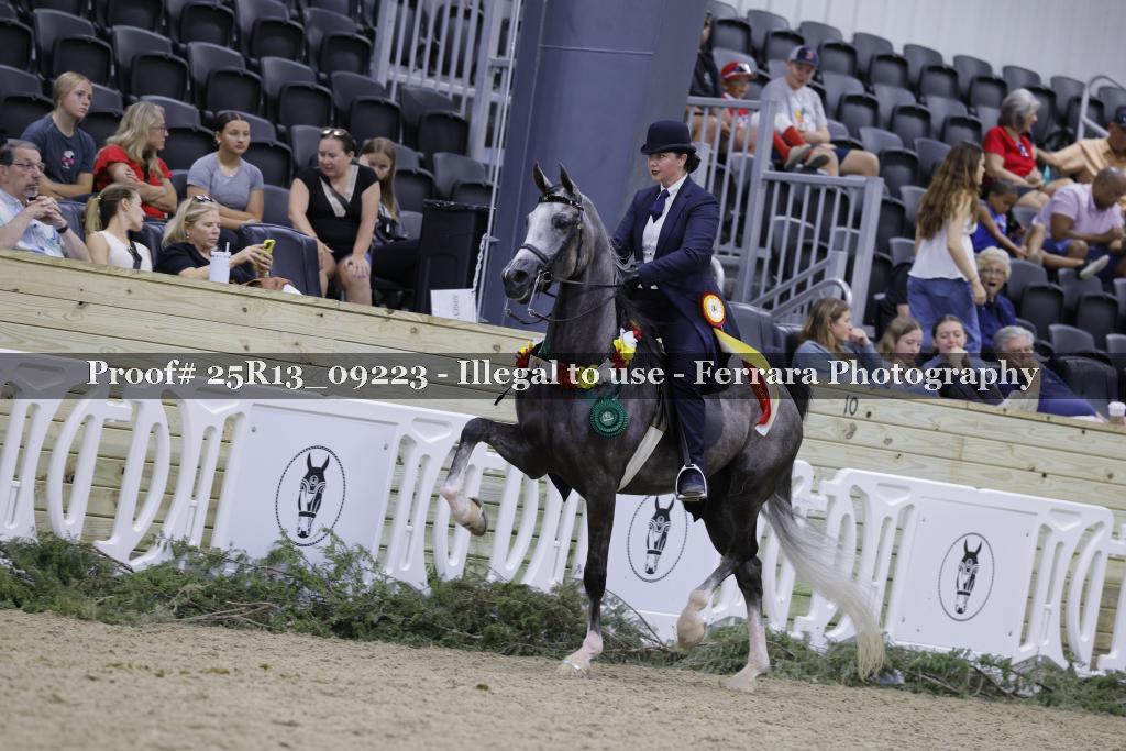 Proof Number 25R13_09223