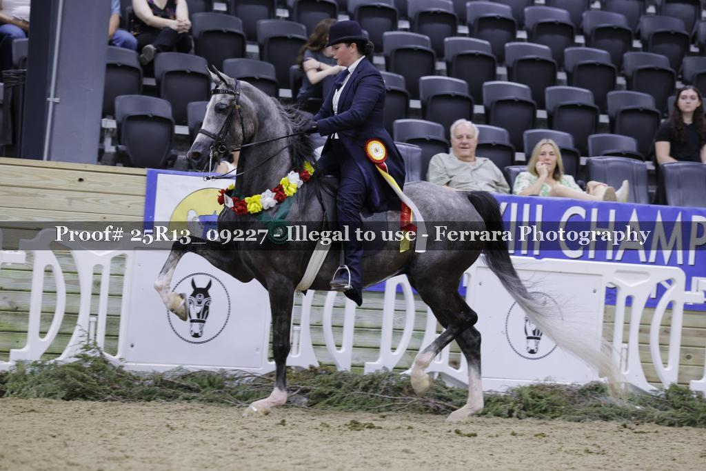 Proof Number 25R13_09227