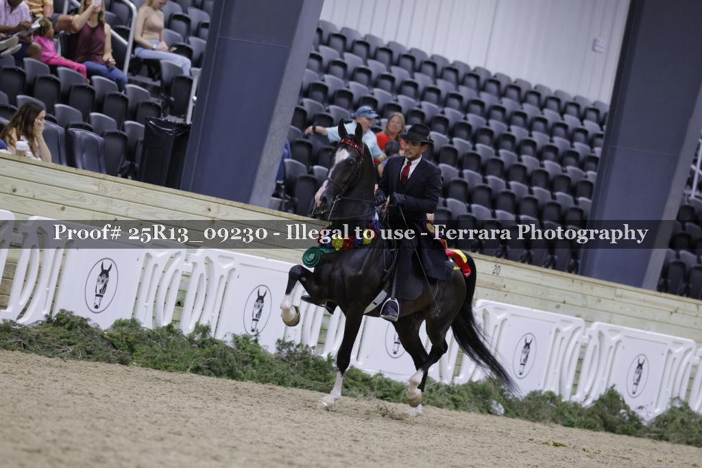 Proof Number 25R13_09230