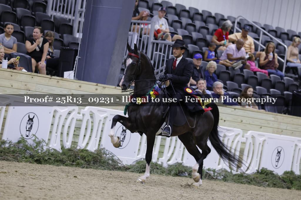 Proof Number 25R13_09231