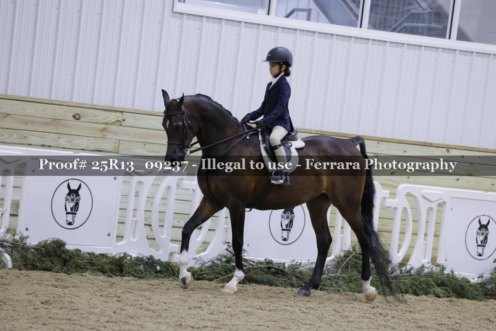 Proof Number 25R13_09237