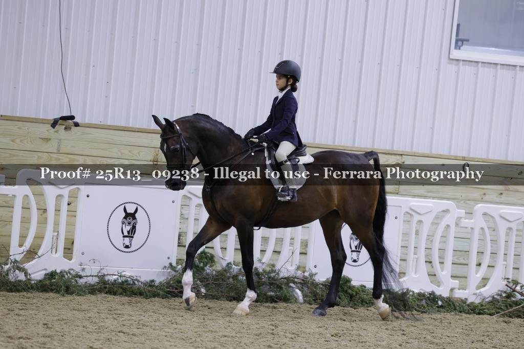 Proof Number 25R13_09238