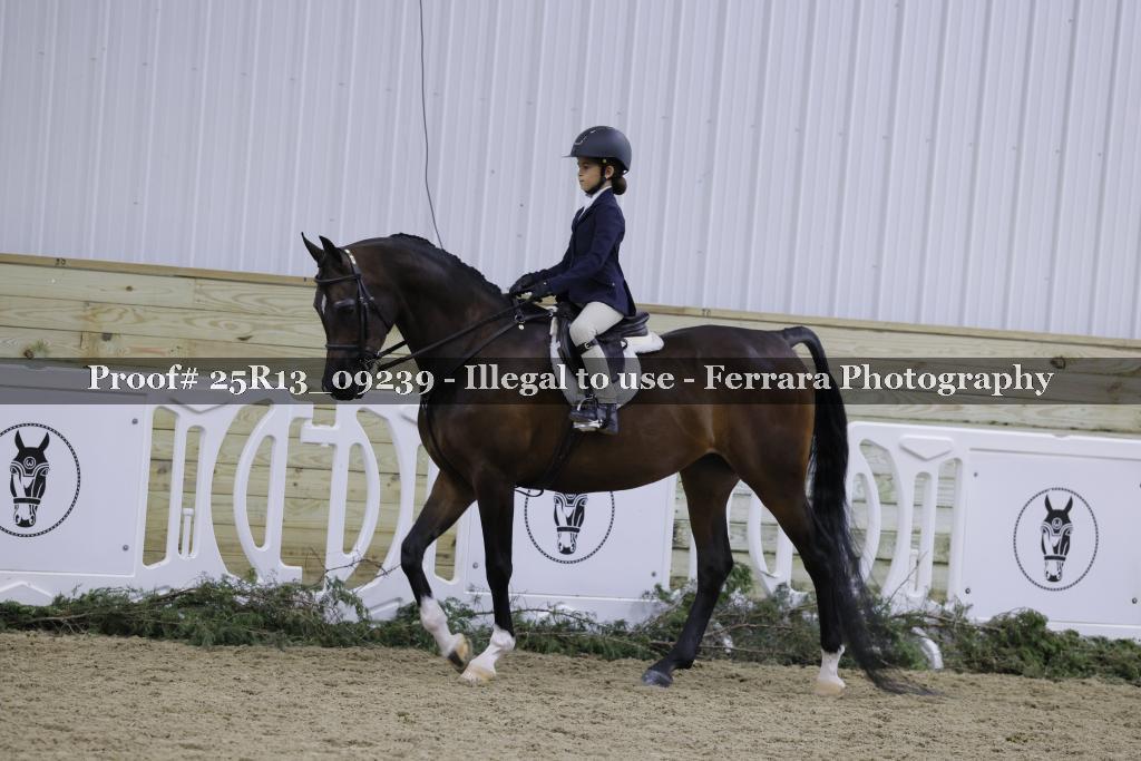 Proof Number 25R13_09239