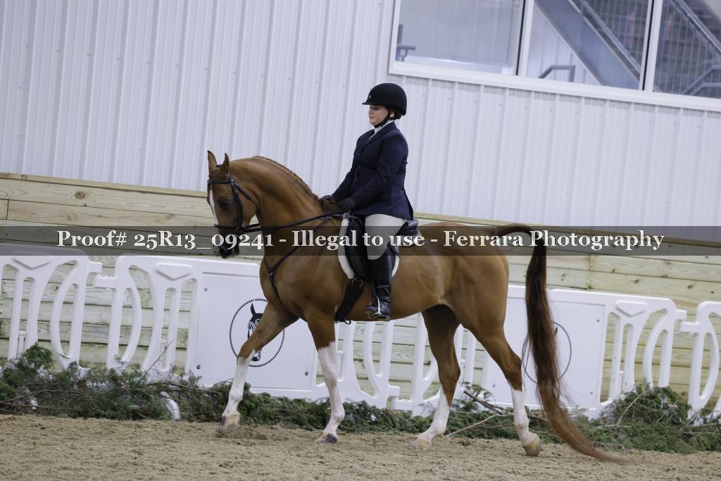 Proof Number 25R13_09241