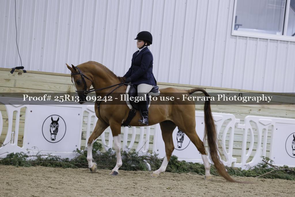 Proof Number 25R13_09242