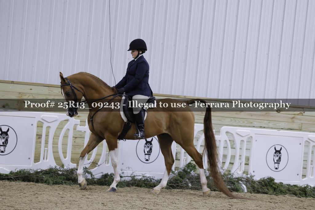 Proof Number 25R13_09243