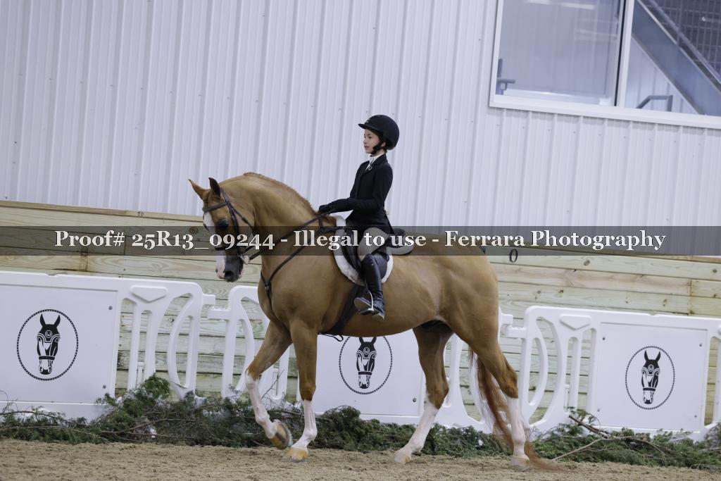 Proof Number 25R13_09244