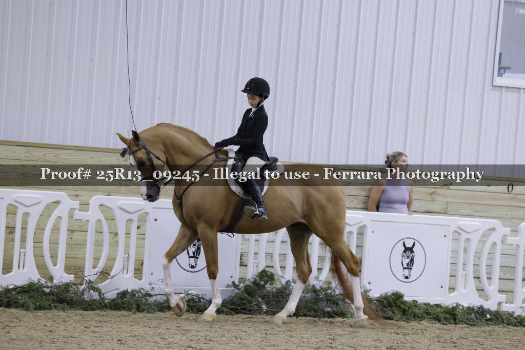 Proof Number 25R13_09245