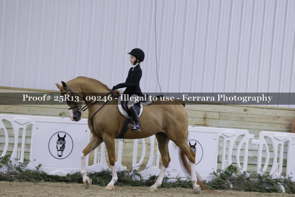 Proof Number 25R13_09246