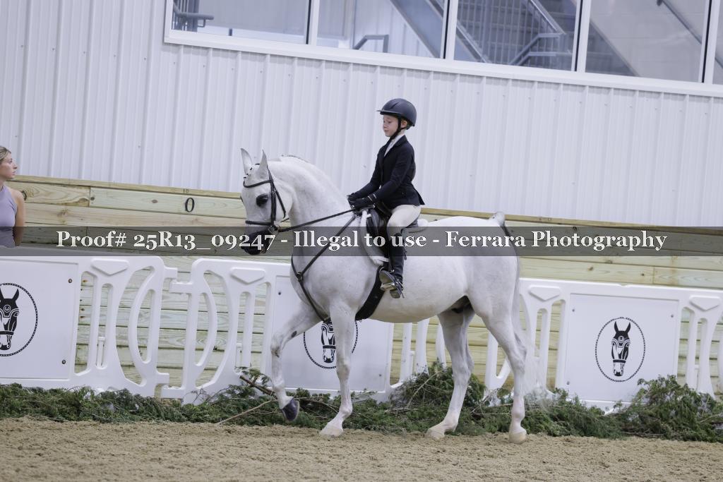 Proof Number 25R13_09247