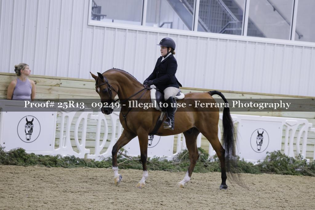 Proof Number 25R13_09249