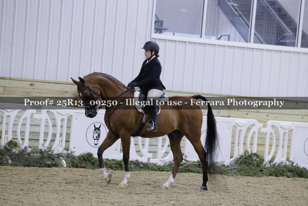 Proof Number 25R13_09250
