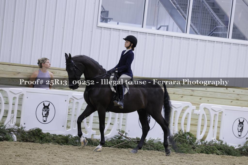 Proof Number 25R13_09252