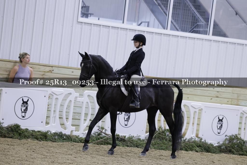 Proof Number 25R13_09253