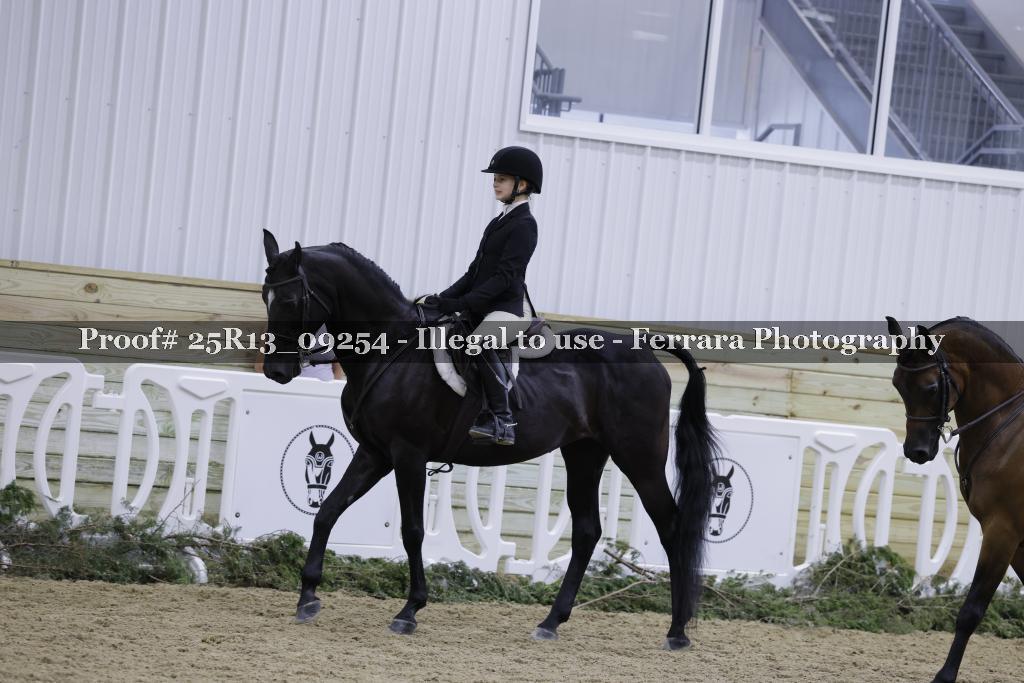 Proof Number 25R13_09254