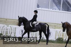25R13_09254 thumbnail
