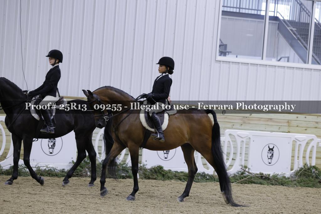 Proof Number 25R13_09255
