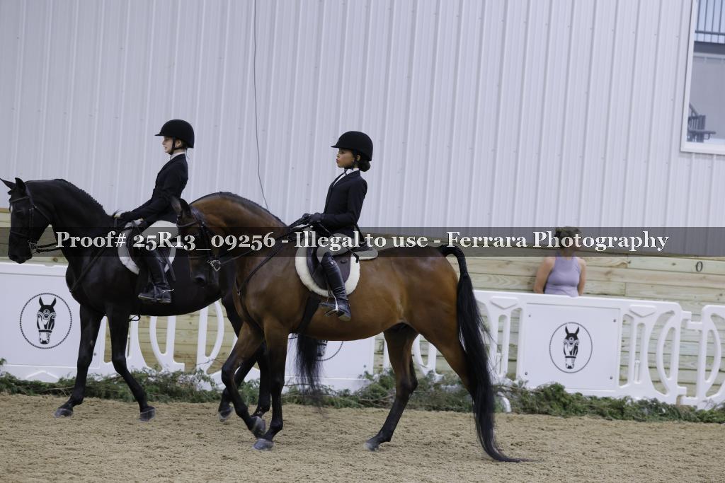 Proof Number 25R13_09256