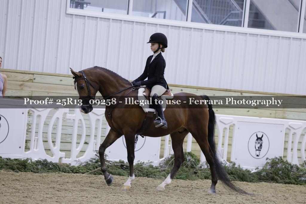 Proof Number 25R13_09258