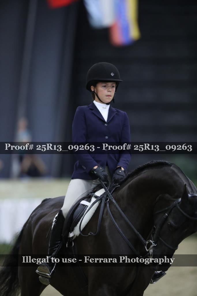 Proof Number 25R13_09263