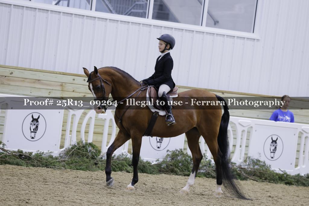 Proof Number 25R13_09264