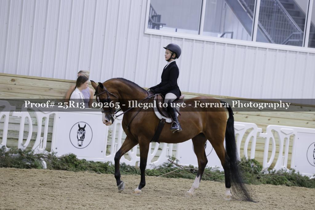 Proof Number 25R13_09265