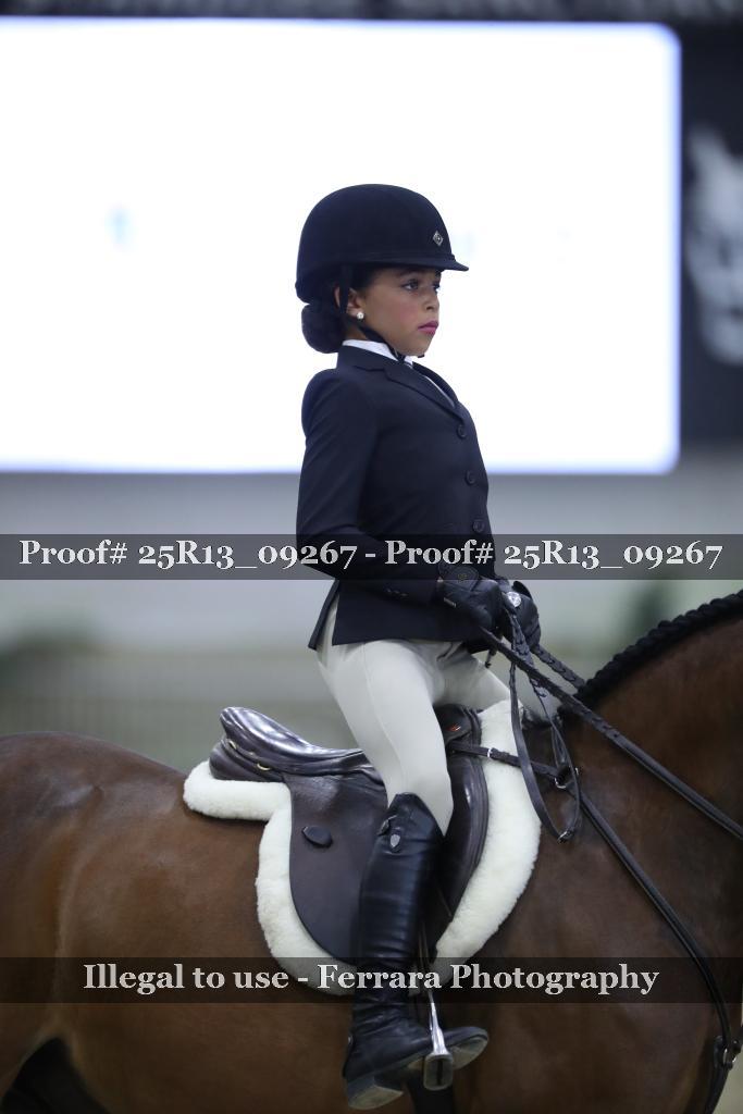 Proof Number 25R13_09267