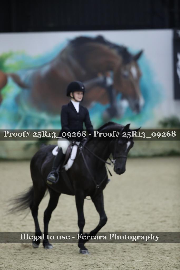 Proof Number 25R13_09268