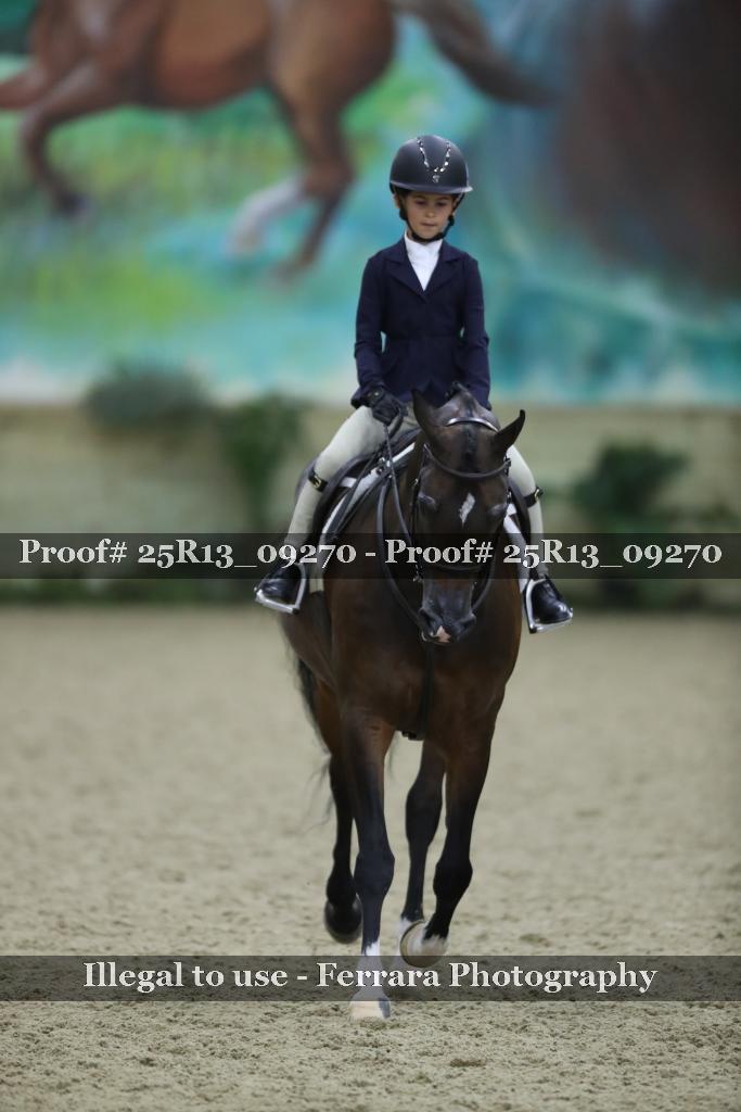 Proof Number 25R13_09270
