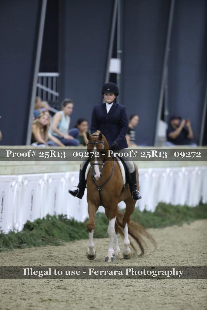 Proof Number 25R13_09272