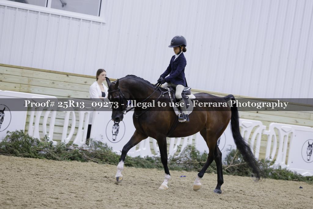 Proof Number 25R13_09273