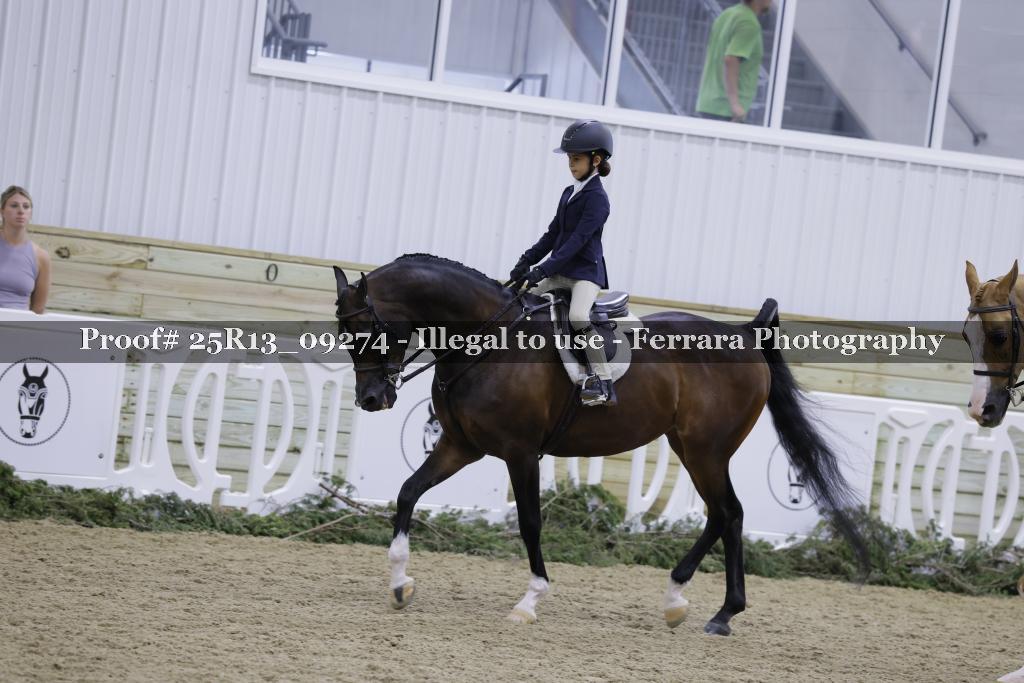 Proof Number 25R13_09274