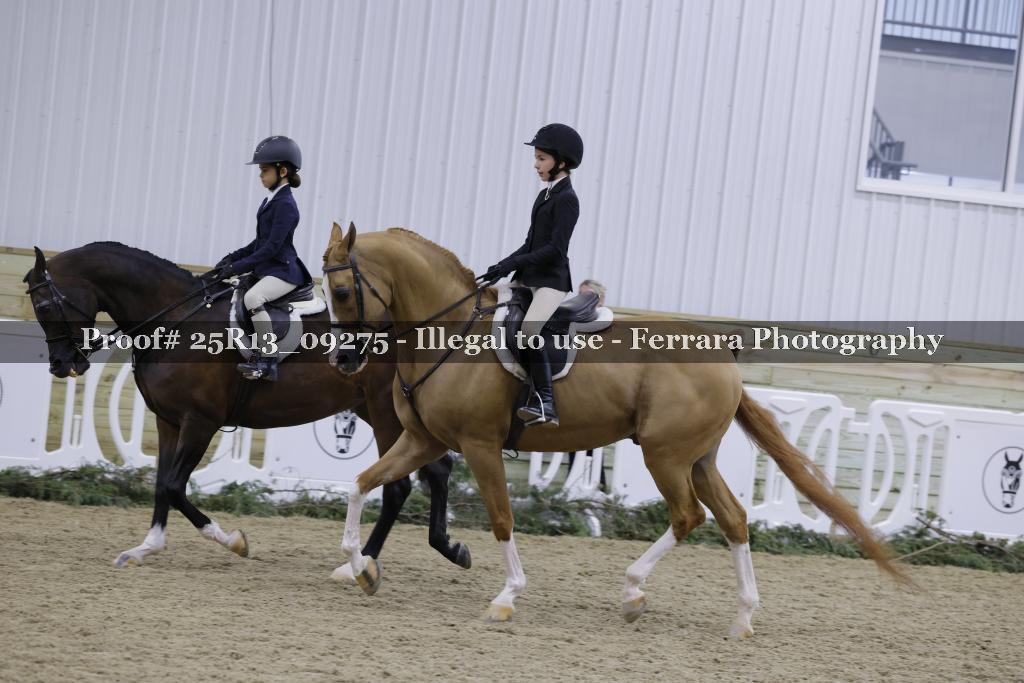 Proof Number 25R13_09275