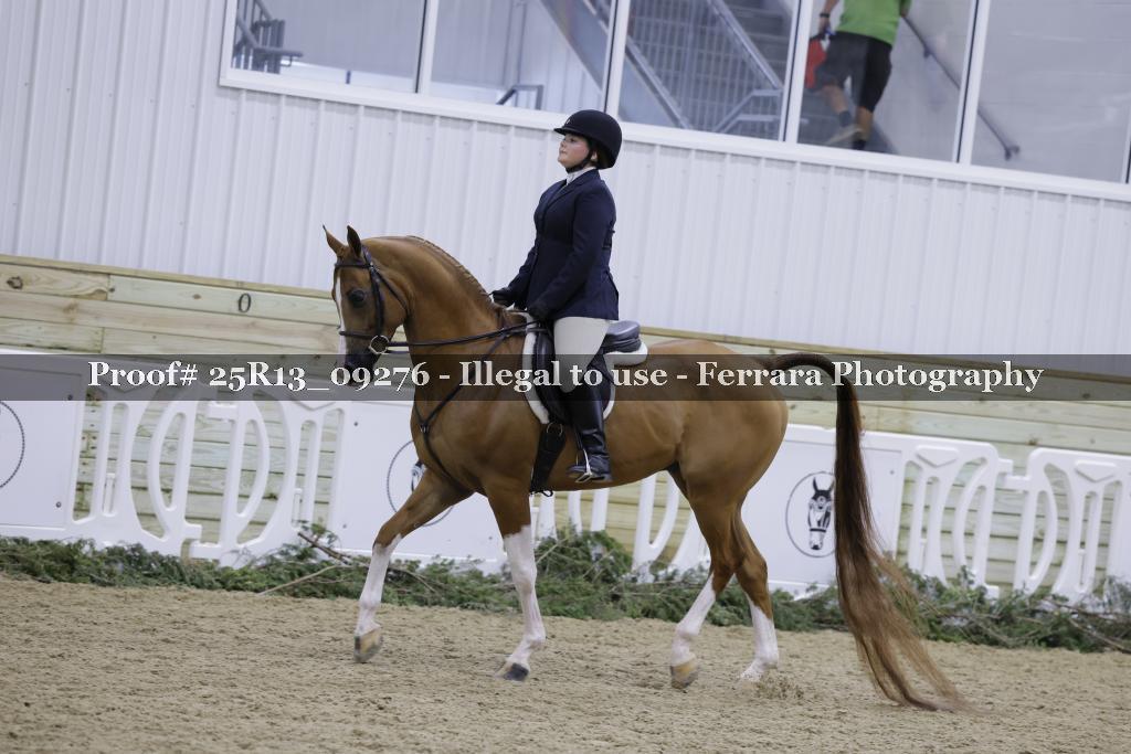 Proof Number 25R13_09276