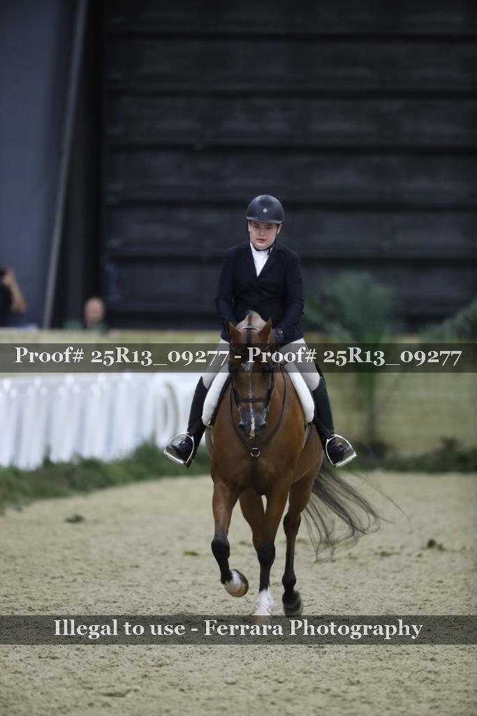 Proof Number 25R13_09277