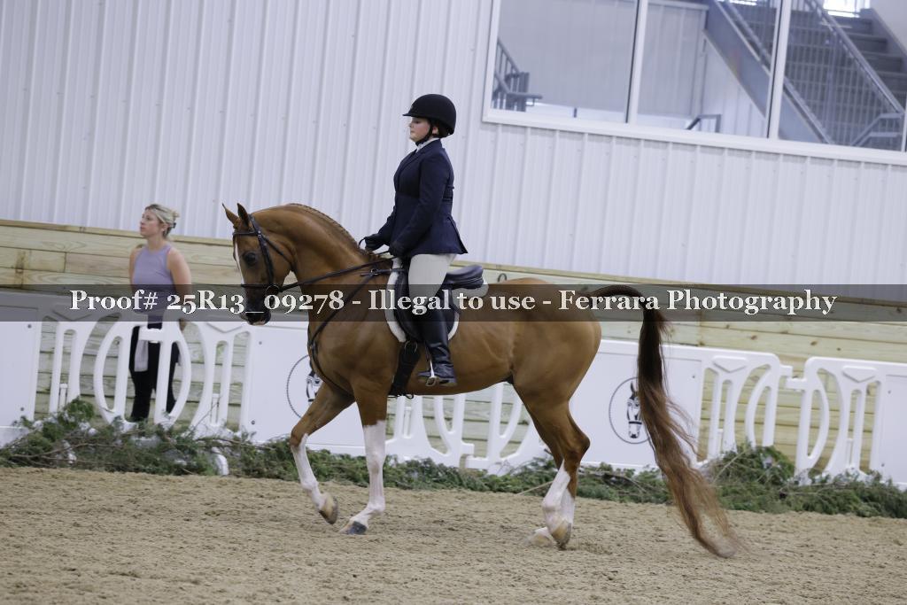 Proof Number 25R13_09278