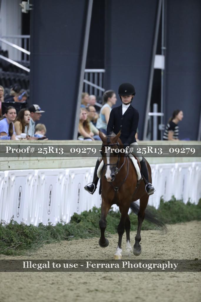 Proof Number 25R13_09279