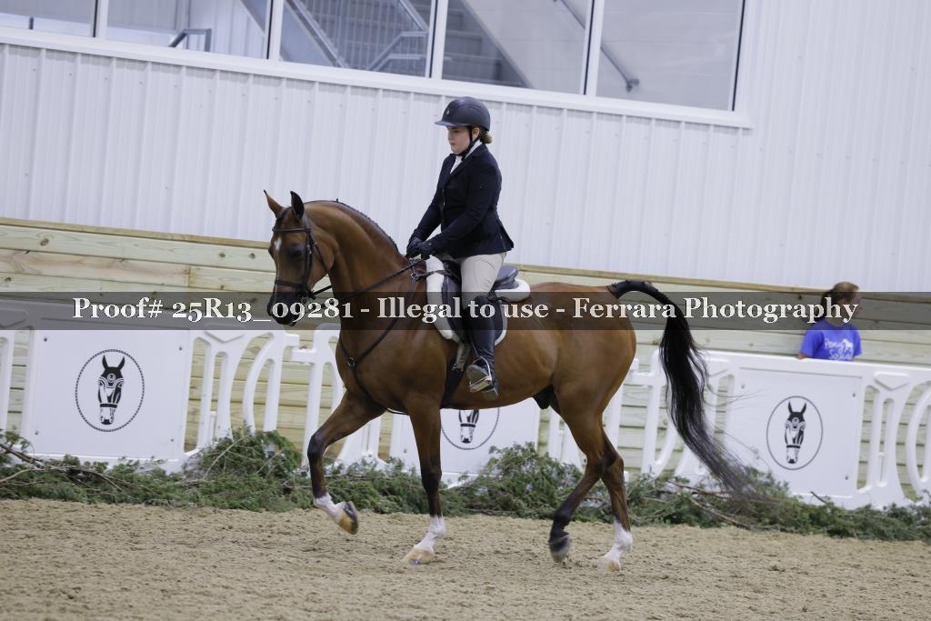 Proof Number 25R13_09281