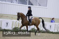 25R13_09281 thumbnail