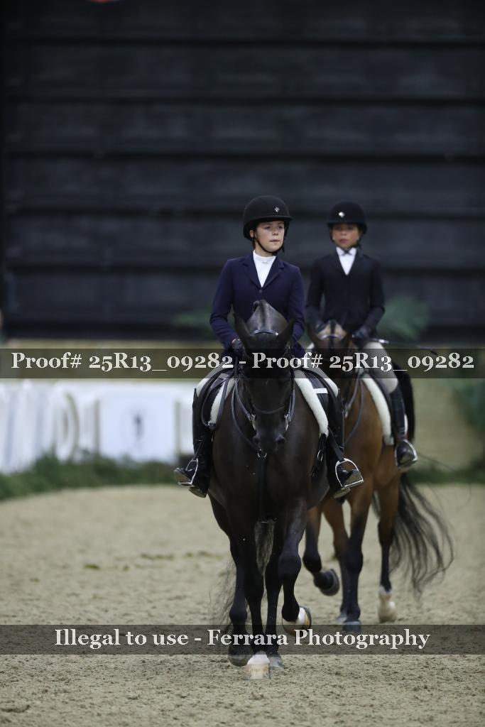 Proof Number 25R13_09282