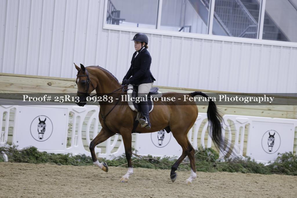 Proof Number 25R13_09283