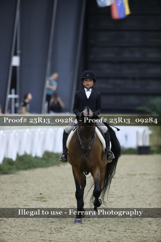Proof Number 25R13_09284