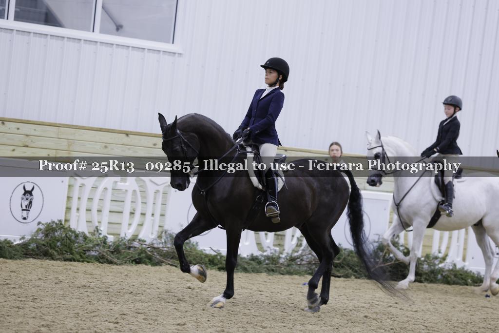 Proof Number 25R13_09285