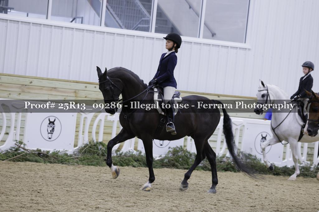 Proof Number 25R13_09286